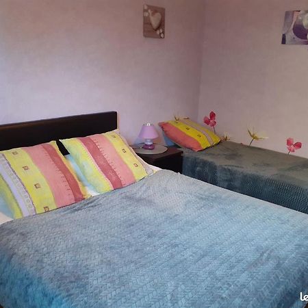 Chambres D'Hotes Les Nefliers Amboise Exterior photo